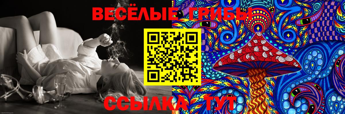 как найти закладки  Галлюциногенные грибы Psilocybine cubensis  Псилоцибиновые грибы Psilocybe  Вход с VPN  Елизово 